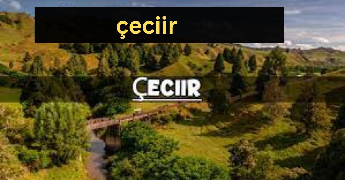 çeciir