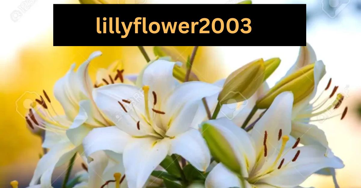 lillyflower2003