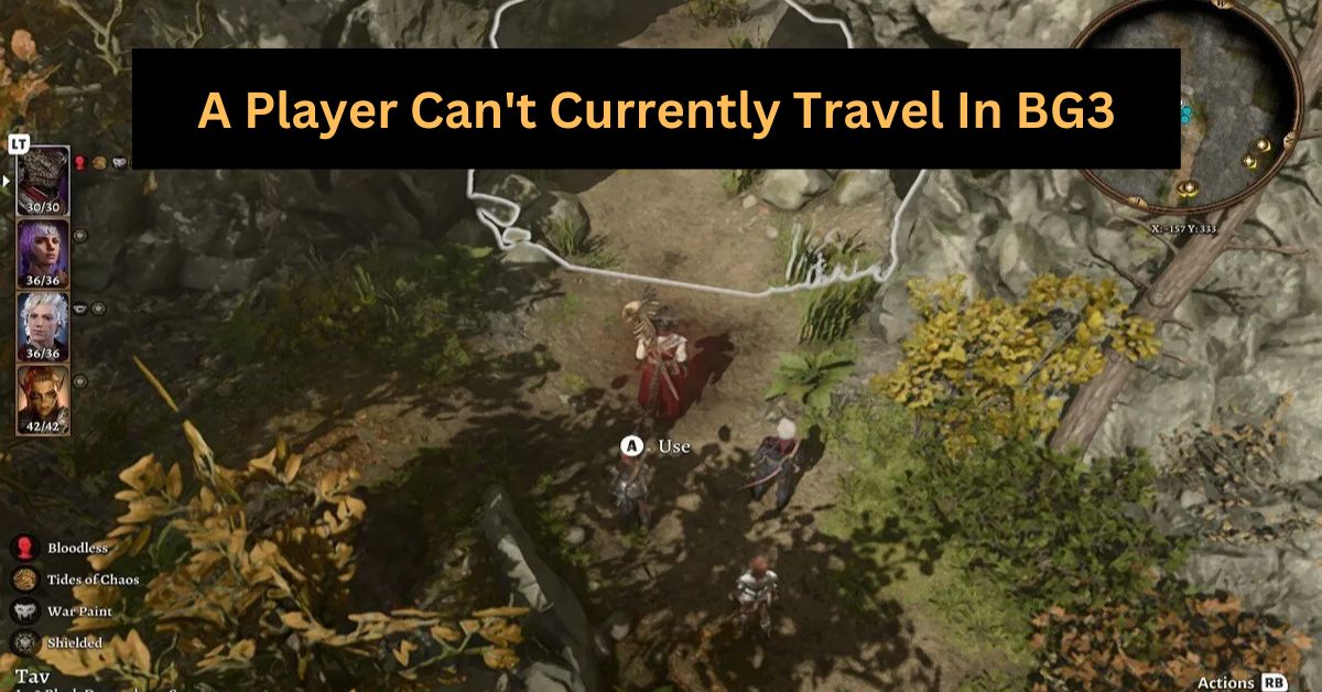 A Player Can't Currently Travel In BG3