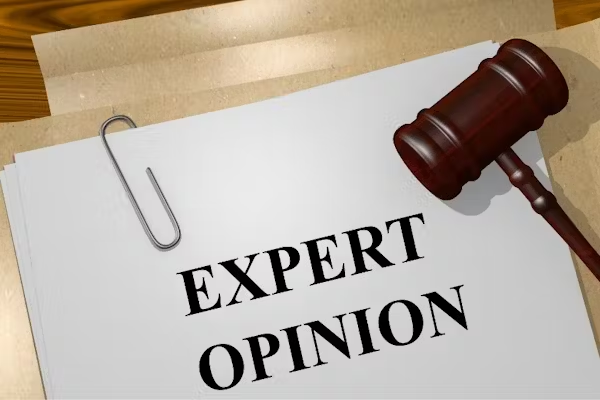Expert Opinions: