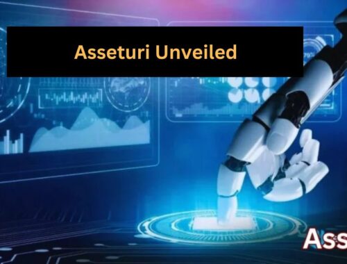 Asseturi Unveiled