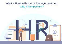 Understanding the Significance of HR Management: