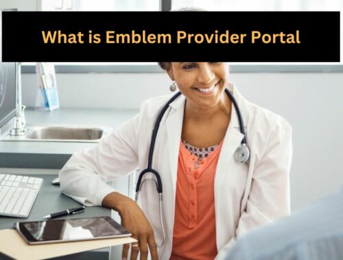What is Emblem Provider Portal