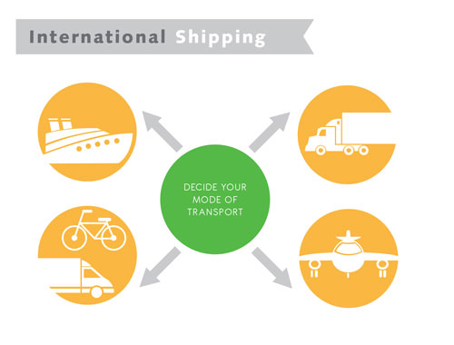 Shipping and Delivery Options: